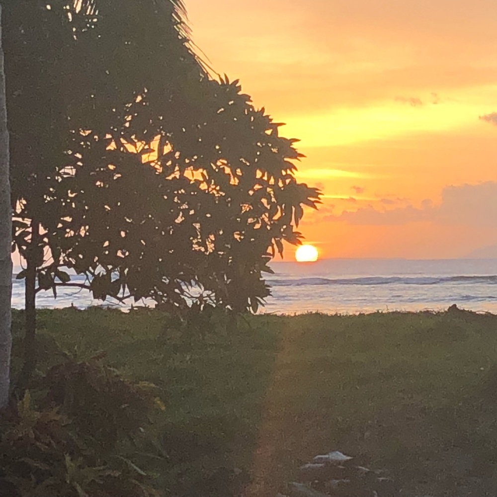 Meet your Posher, Bree